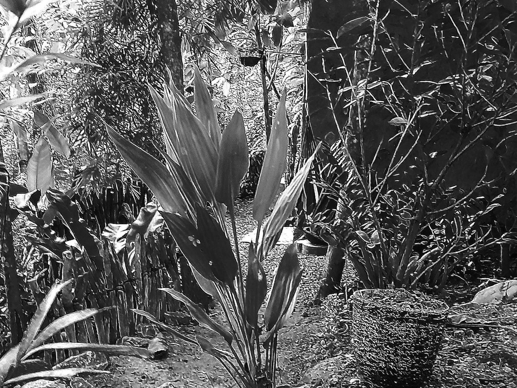 Linu Homestay Dikwella Esterno foto