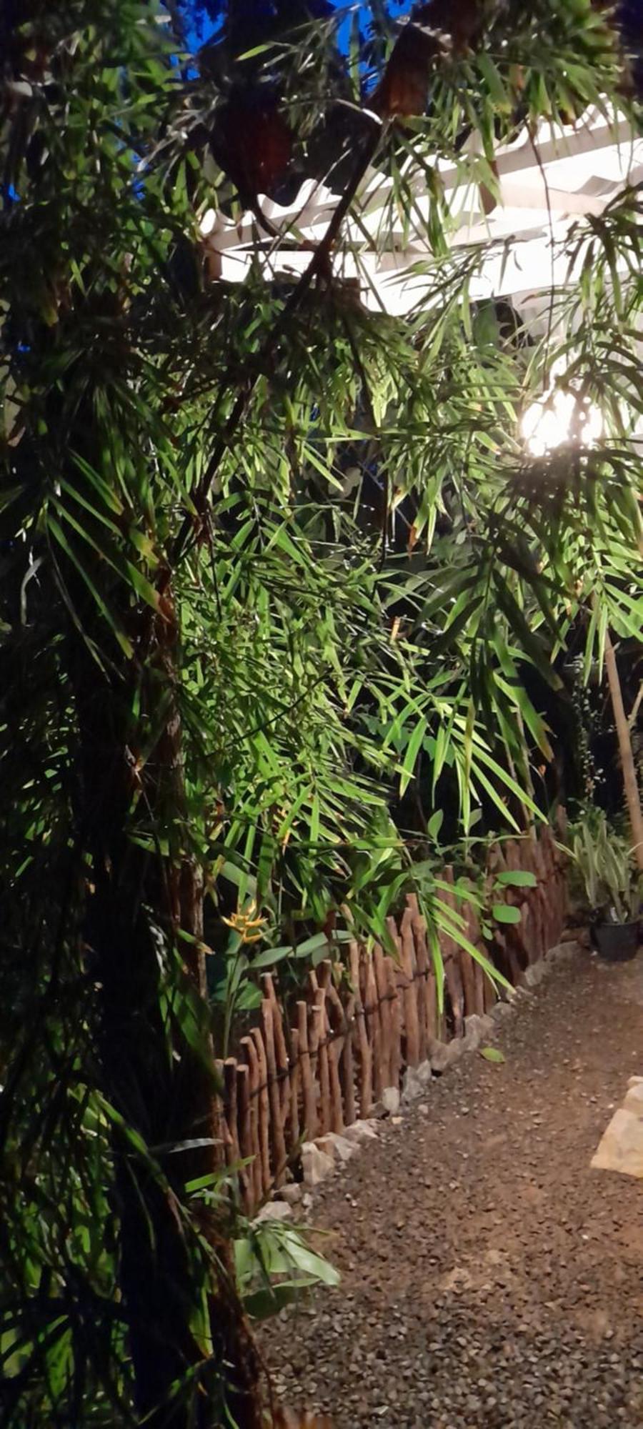 Linu Homestay Dikwella Esterno foto