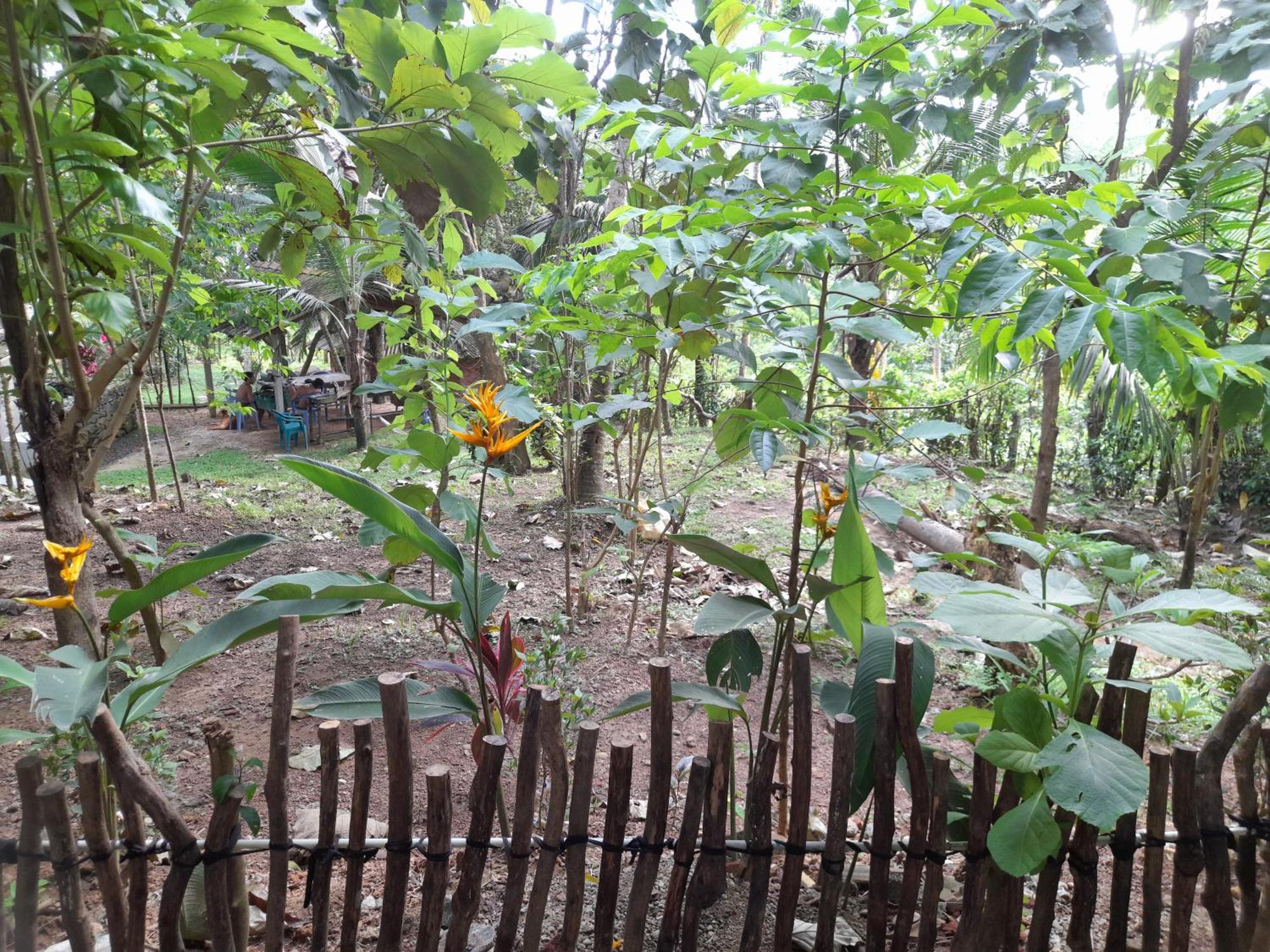 Linu Homestay Dikwella Esterno foto