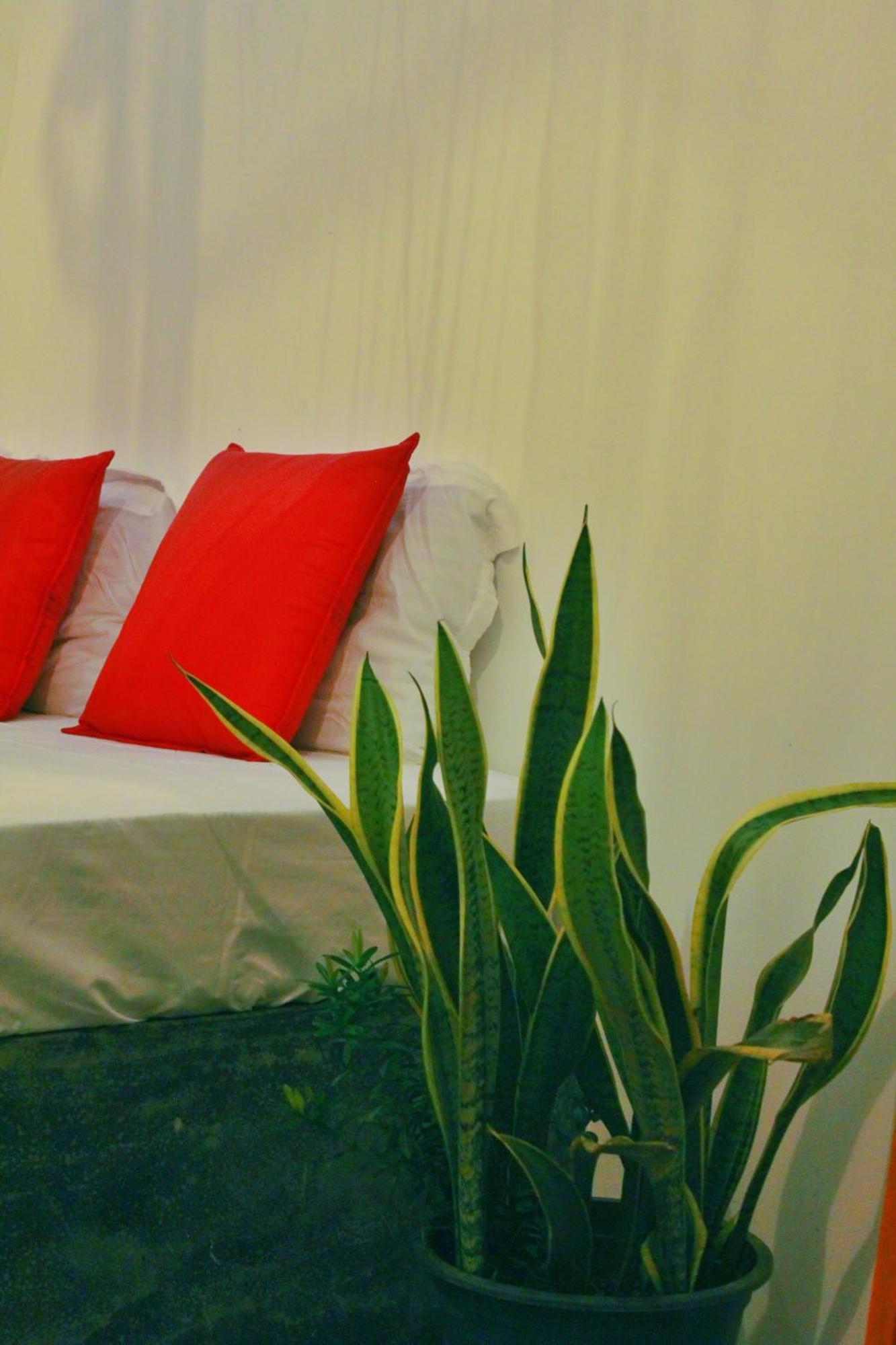 Linu Homestay Dikwella Esterno foto
